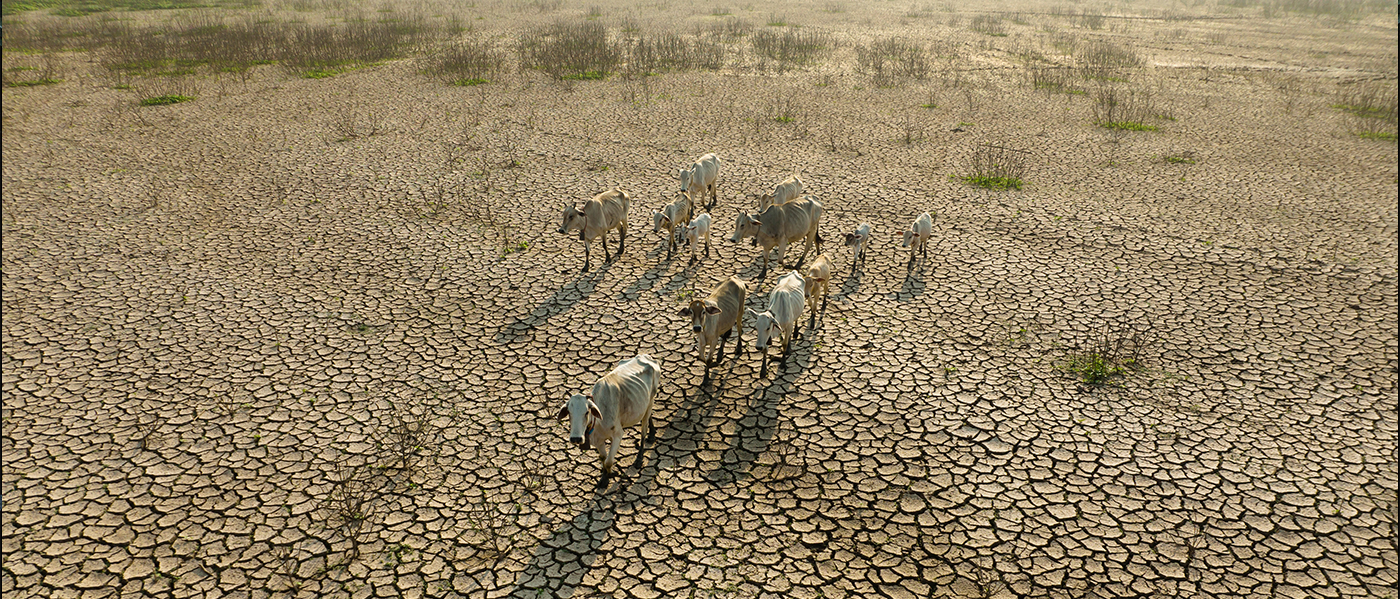 How to tackle the growing global water crisis