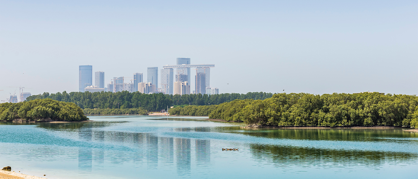 From pledge to policy: how the UAE is turning climate ambition into action