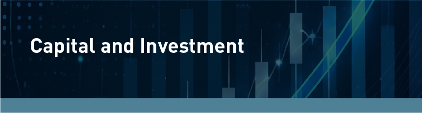 Capital and Investment