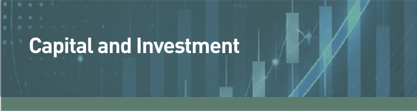 Capital and Investment